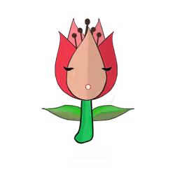 Tulipa ornatus