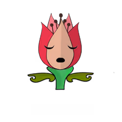 Tulipa ornatus
