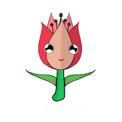 Tulipa ornatus