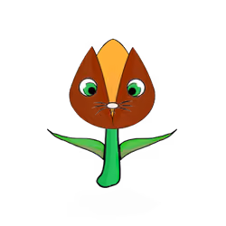 Tulipa dinormieus