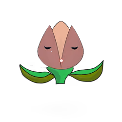 Tulipa dinormieus
