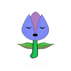 Tulipa dinormieus