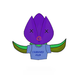 Tulipa normieus
