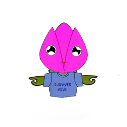 Tulipa normieus