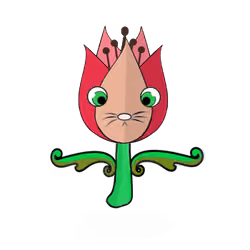 Tulipa ornatus