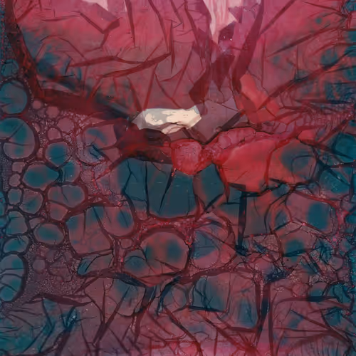 Twin Flames: Static & Signal