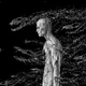 D̴̢҇1̸͢͡R҉̕͜T̸͜͠Y̶̢͞P̷̧͡X̵͢͡L̶̛͢S҉̧͠ /ETH/CARTA