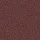 243