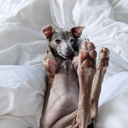 Unidentified contract - usfGG34Fj7