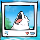 402