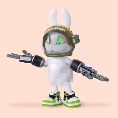 White Rabbit By Gate