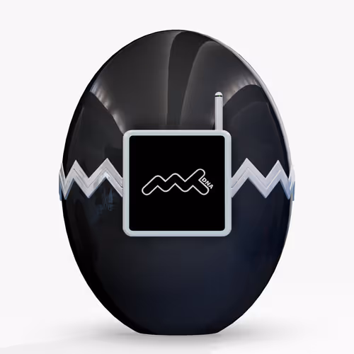 Metaanidna