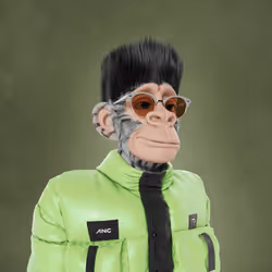 1587