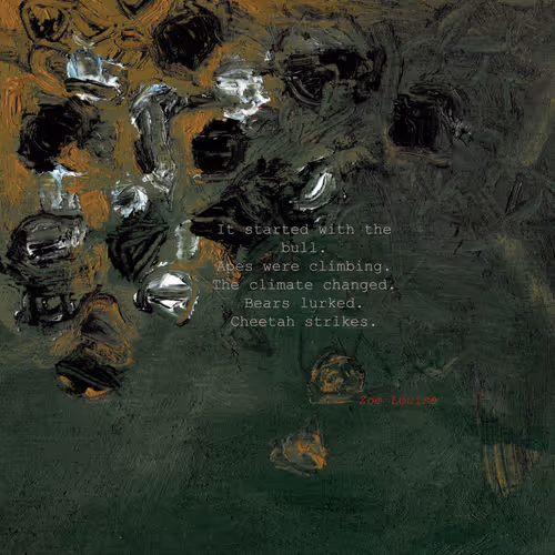 Cheetah - 5fJ41HUmuC