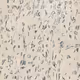 224