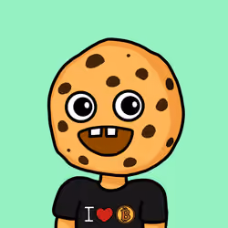 Cool Cookie #6489