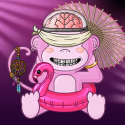 Kevin The Monkey #2596