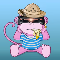Kevin The Monkey #2570