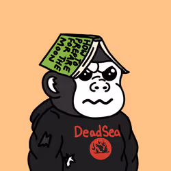 805