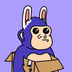155