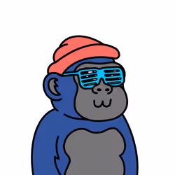 243