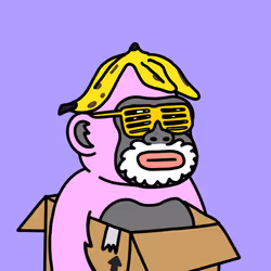 1229