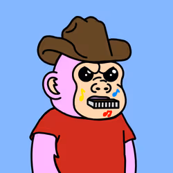 234