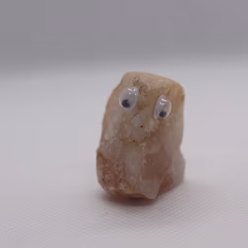 Googly Eyed Rock Club