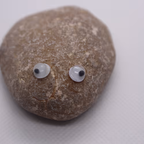 Googly Eyed Rock Club