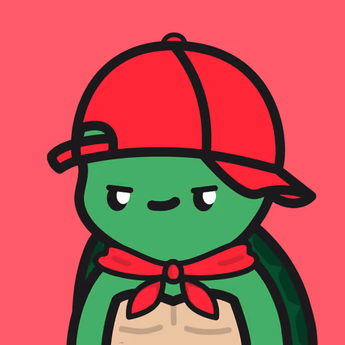 Turtle Town #6132