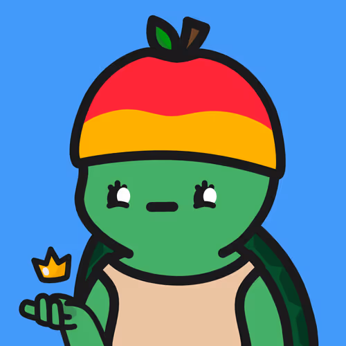 Turtle Town #1125