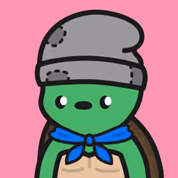 Turtle Town #8848