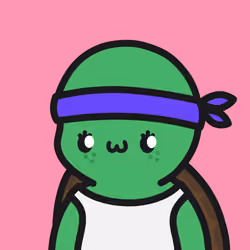 Turtle Town #8002