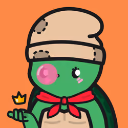 Turtle Town #6744