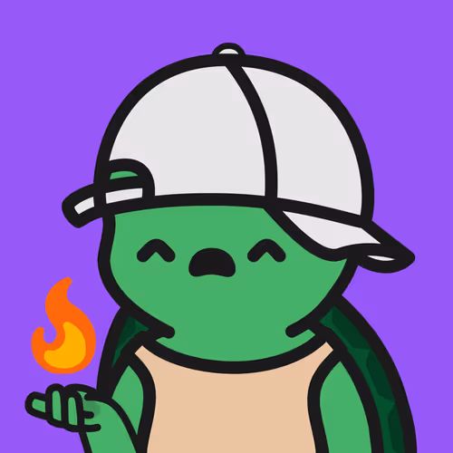 Turtle Town #5647