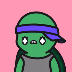 Turtle Town #9022