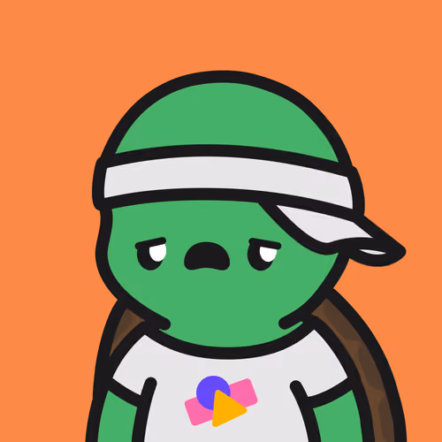 Turtle Town #5811