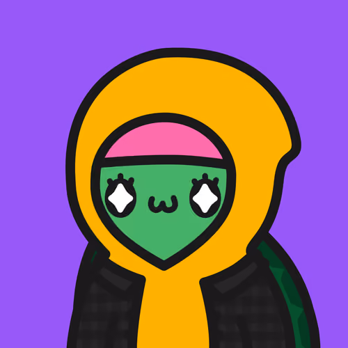 Turtle Town #5428