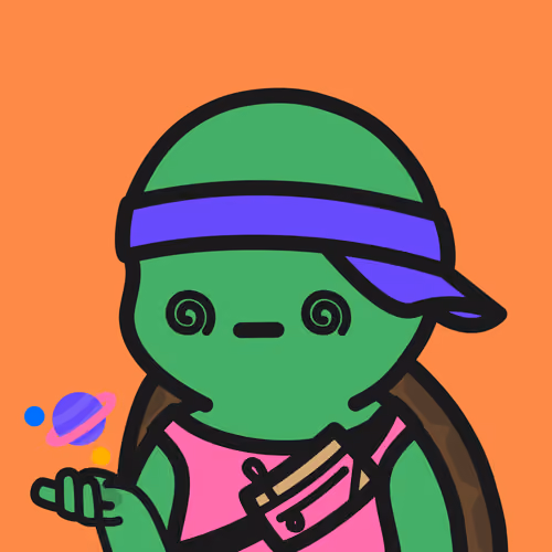 Turtle Town #3041