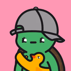 Turtle Town #1848