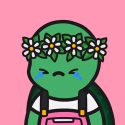Turtle Town #5971