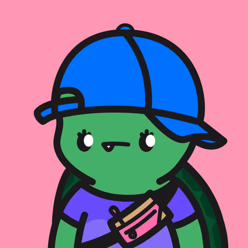 Turtle Town #886
