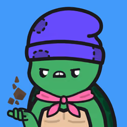 Turtle Town #6996