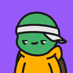 Turtle Town #5143
