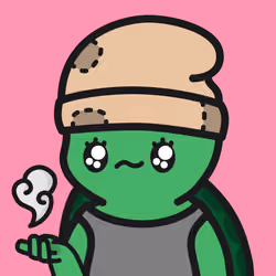 Turtle Town #5779