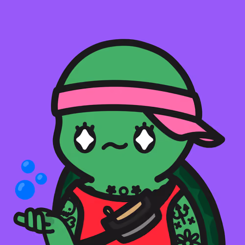 Turtle Town #5605