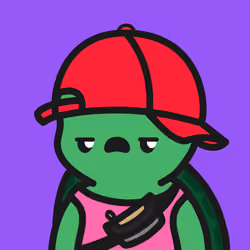 Turtle Town #278