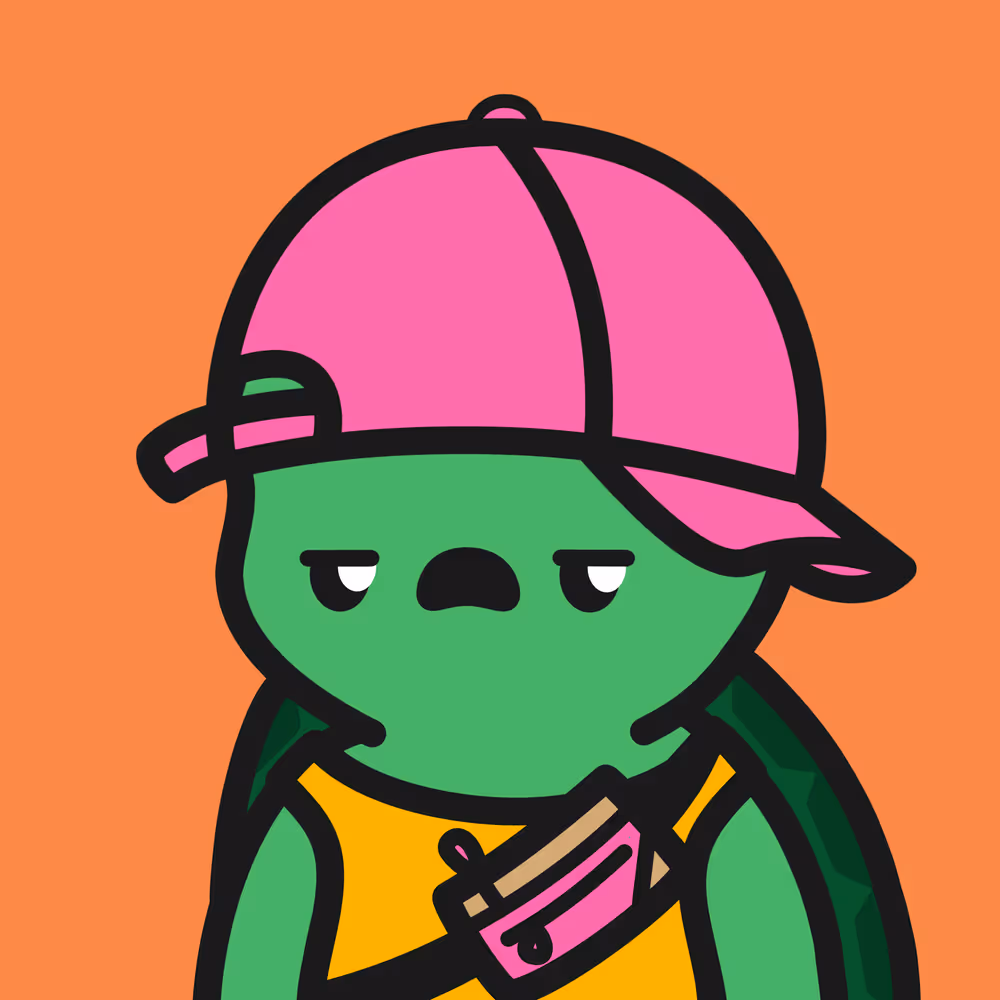 Turtle Town #9959