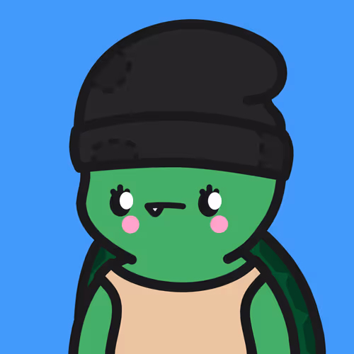 Turtle Town #5124