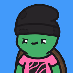 Turtle Town #6061
